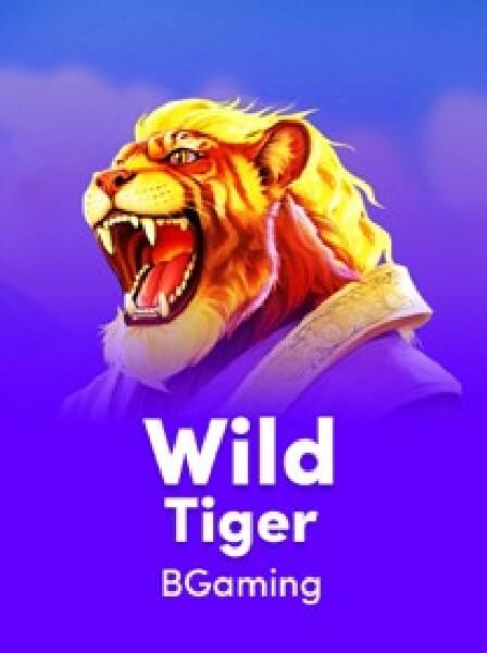 VegasHero: The Ultimate Destination for Online Casino Enthusiasts